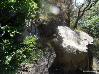 nte Rinatu-15-09-2019 11-03-52